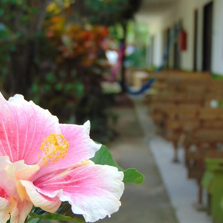 Crucero Tulum Bed & Breakfast ภายนอก รูปภาพ