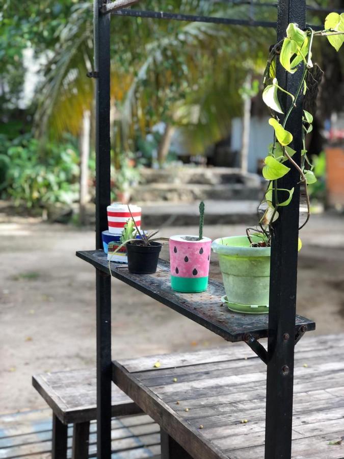 Crucero Tulum Bed & Breakfast ภายนอก รูปภาพ