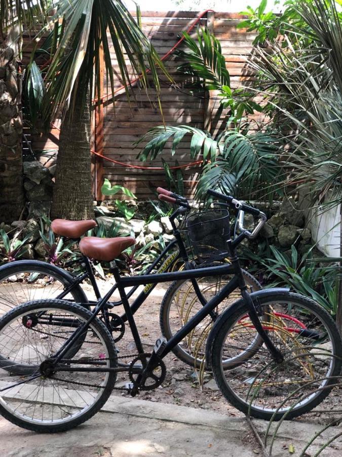 Crucero Tulum Bed & Breakfast ภายนอก รูปภาพ