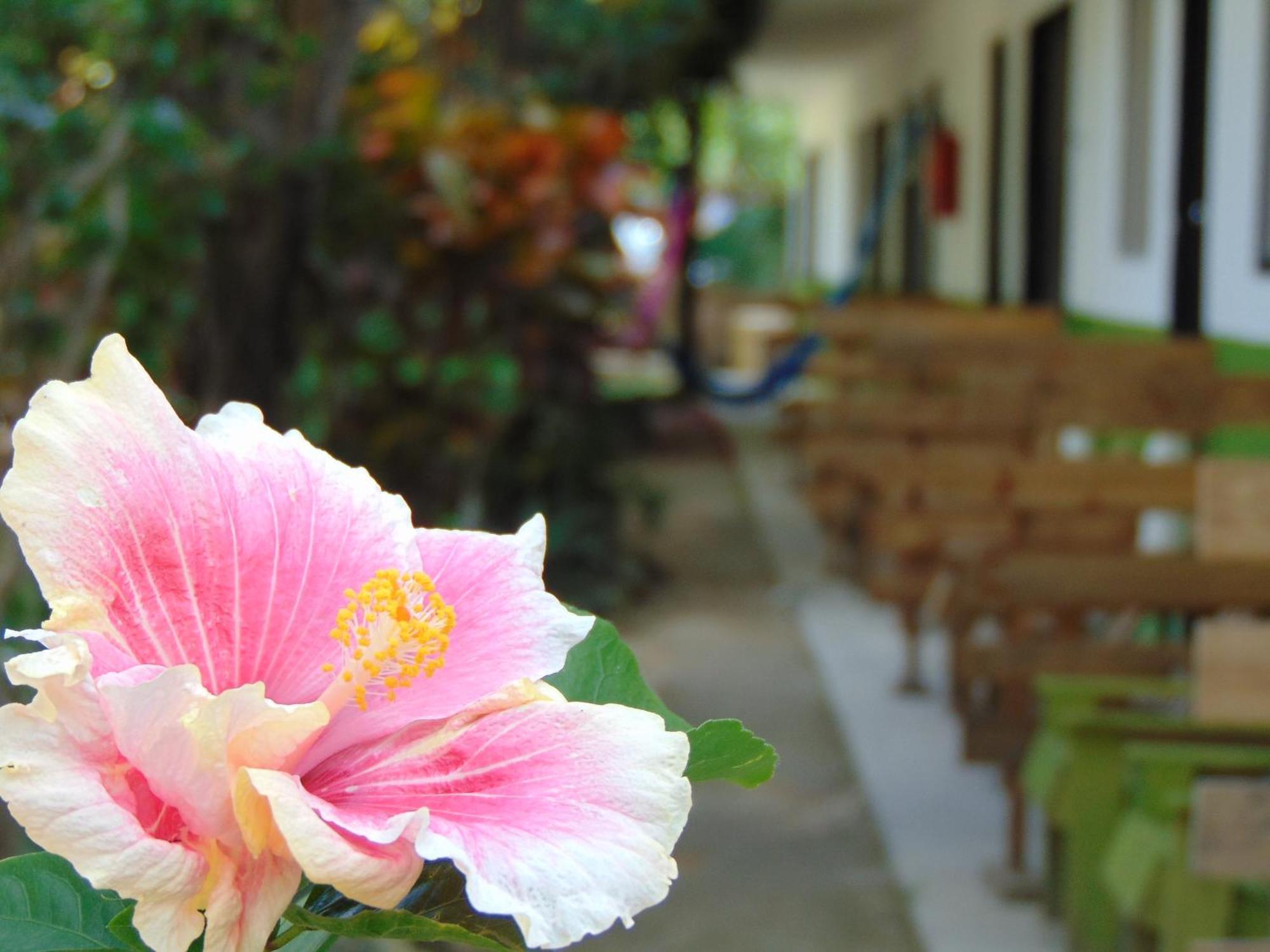 Crucero Tulum Bed & Breakfast ภายนอก รูปภาพ